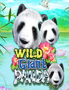 สูตรบอล ส เต็ ป 5 ที่นี่มีทุกเทคนิคเจ๋งๆ